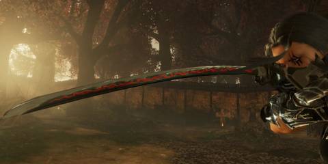 An image from the various weapons mod for Nioh 2