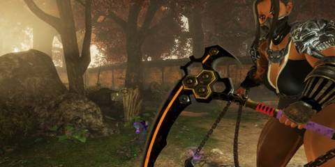 An image from the various weapons mod for Nioh 2