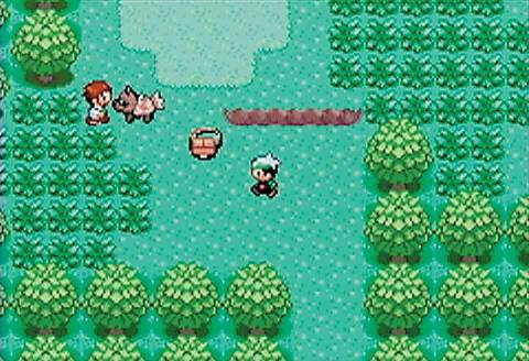 Pokemon Emerald