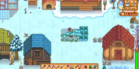 A farmer harvesting Powdermelons in Stardew Valley