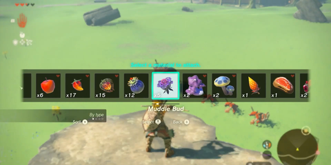 A Key Frame From The Legend Of Zelda Tears Of The Kingdom Showing The Player Interacting With The Muddle Bud In The Game's Pop-Up Menu