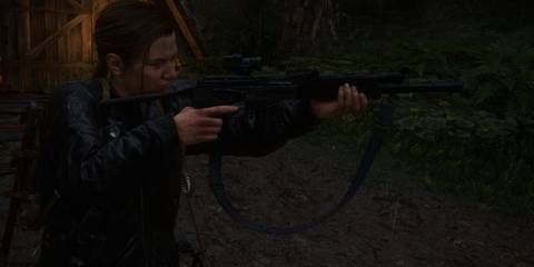 abby's rifle