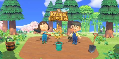 animal-crossing-new-horizons-switch-2-island-transfer-method