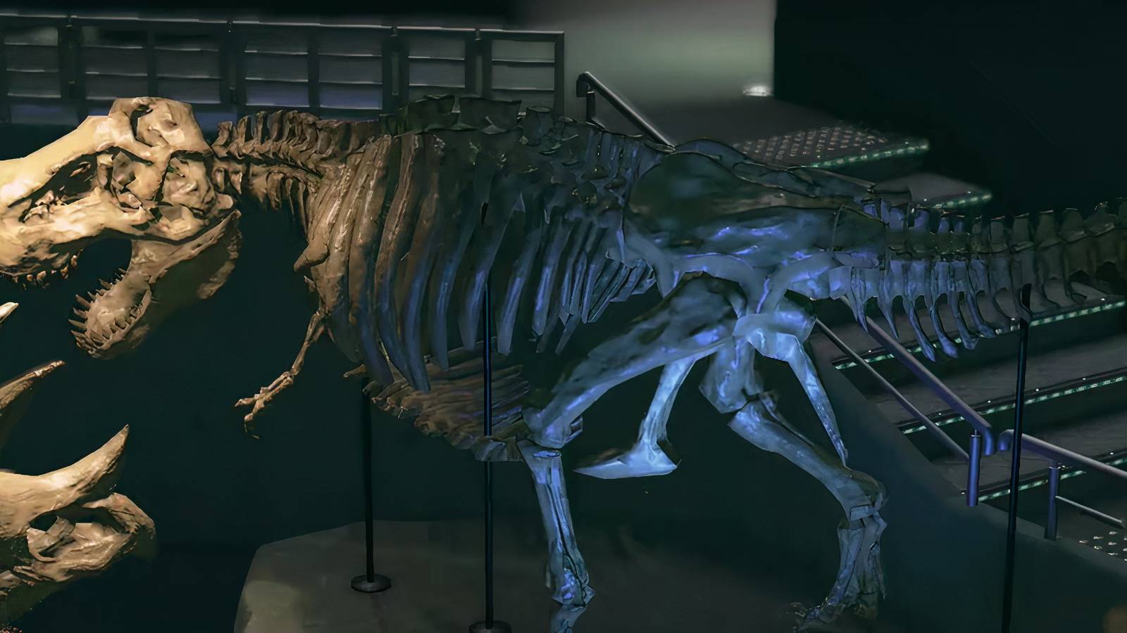 animal crossing trex peach tree