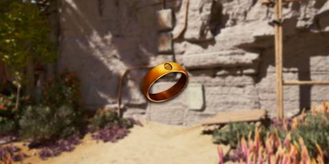 Avowed - Sigil of the Arcane Secret Door