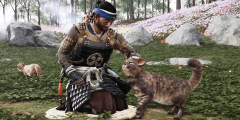 Best Director's Cut Games- Ghost of Tsushima DC 3