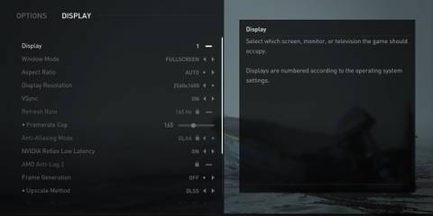 Best Display Settings for Last of Us Part 2 PC