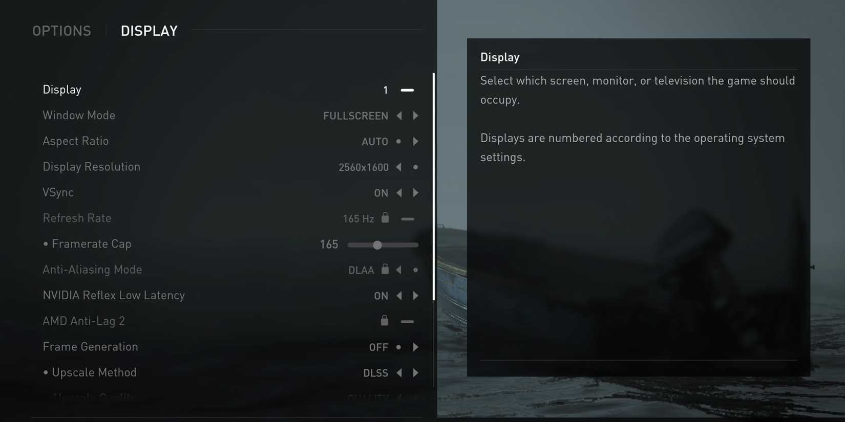 Best Display Settings for Last of Us Part 2 PC