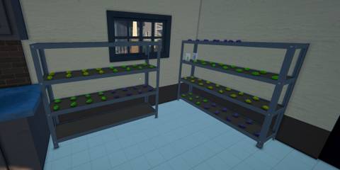 Best Drug Type for Benji - Schedule 1