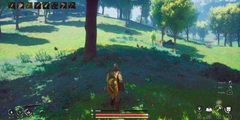 Best place to farm Chickens in RuneScape Dragonwilds