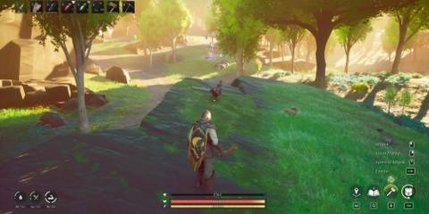 Best place to farm Raw bird Meat RuneScape Dragonwilds