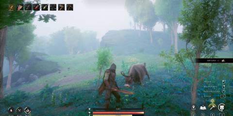 Best Places to farm ingredients RuneScape Dragonwilds (1)