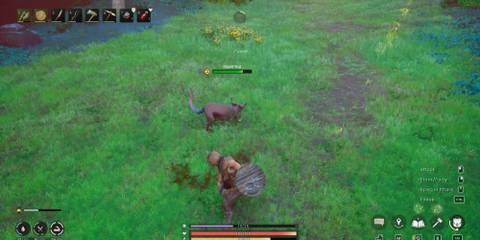 Best Places to farm ingredients RuneScape Dragonwilds (2)