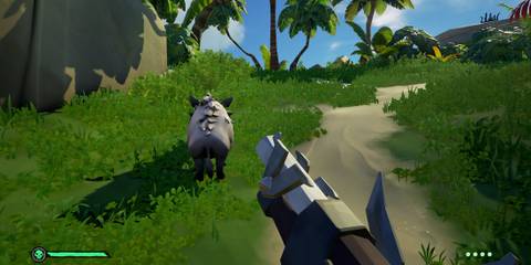 Boar hunting in Sea of Thieves