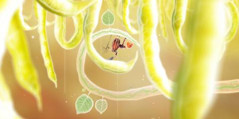 Botanicula steam image
