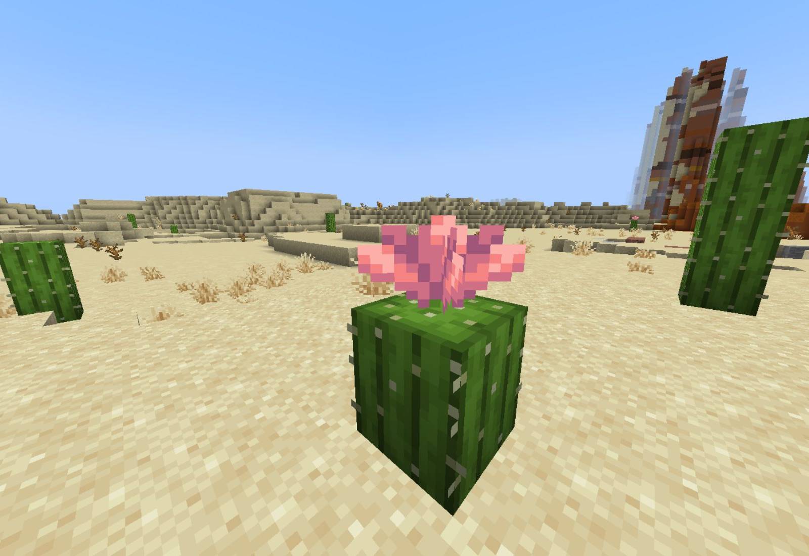 Minecraft: How to Get and Use Cactus Flowers