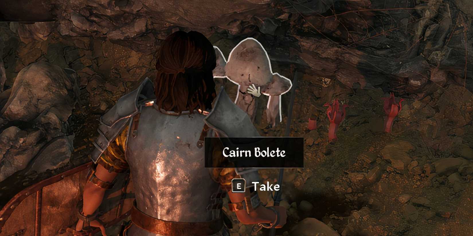 cairn bolete oblivion remastered