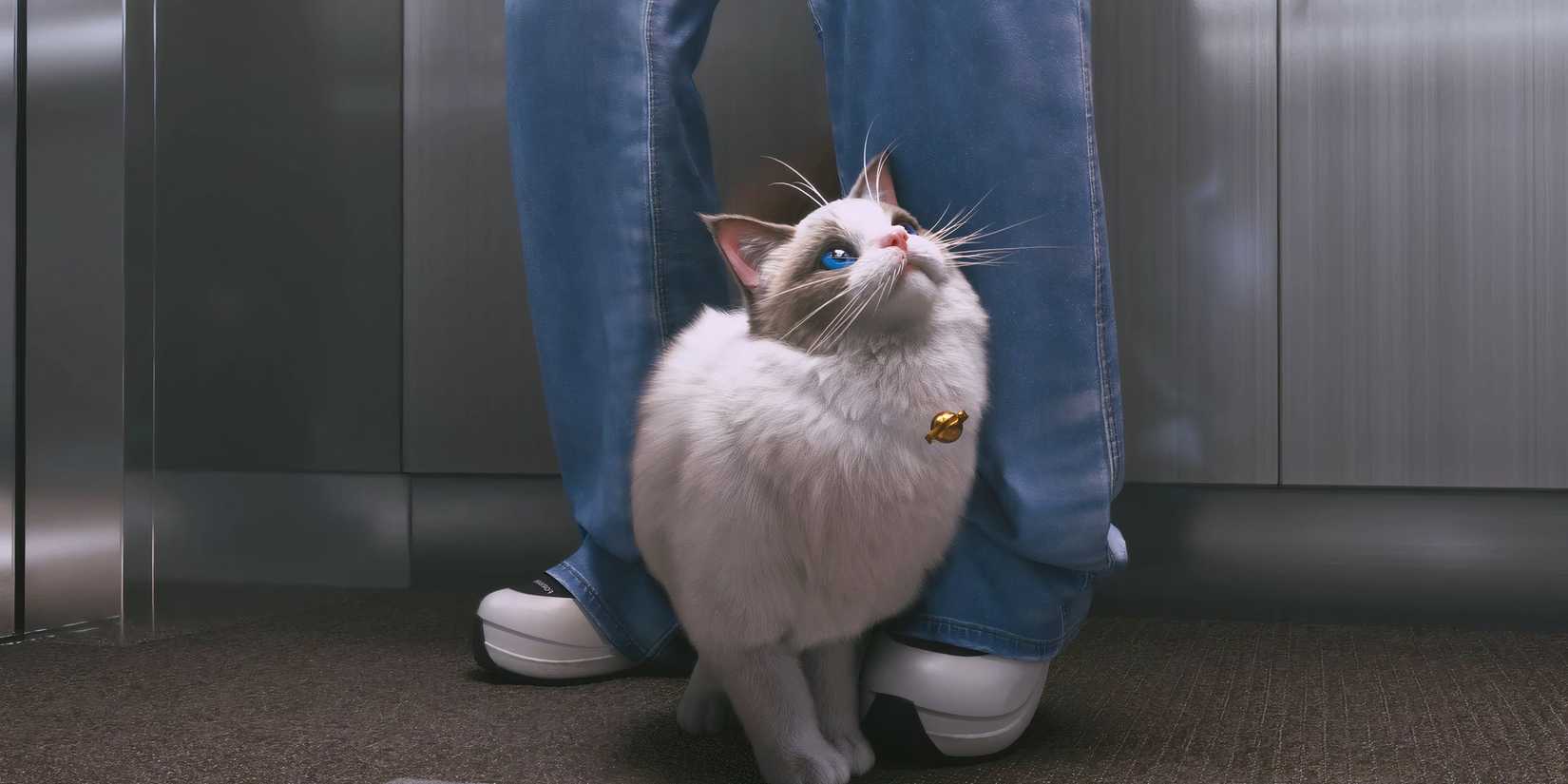 Can You Get A Pet in InZOI