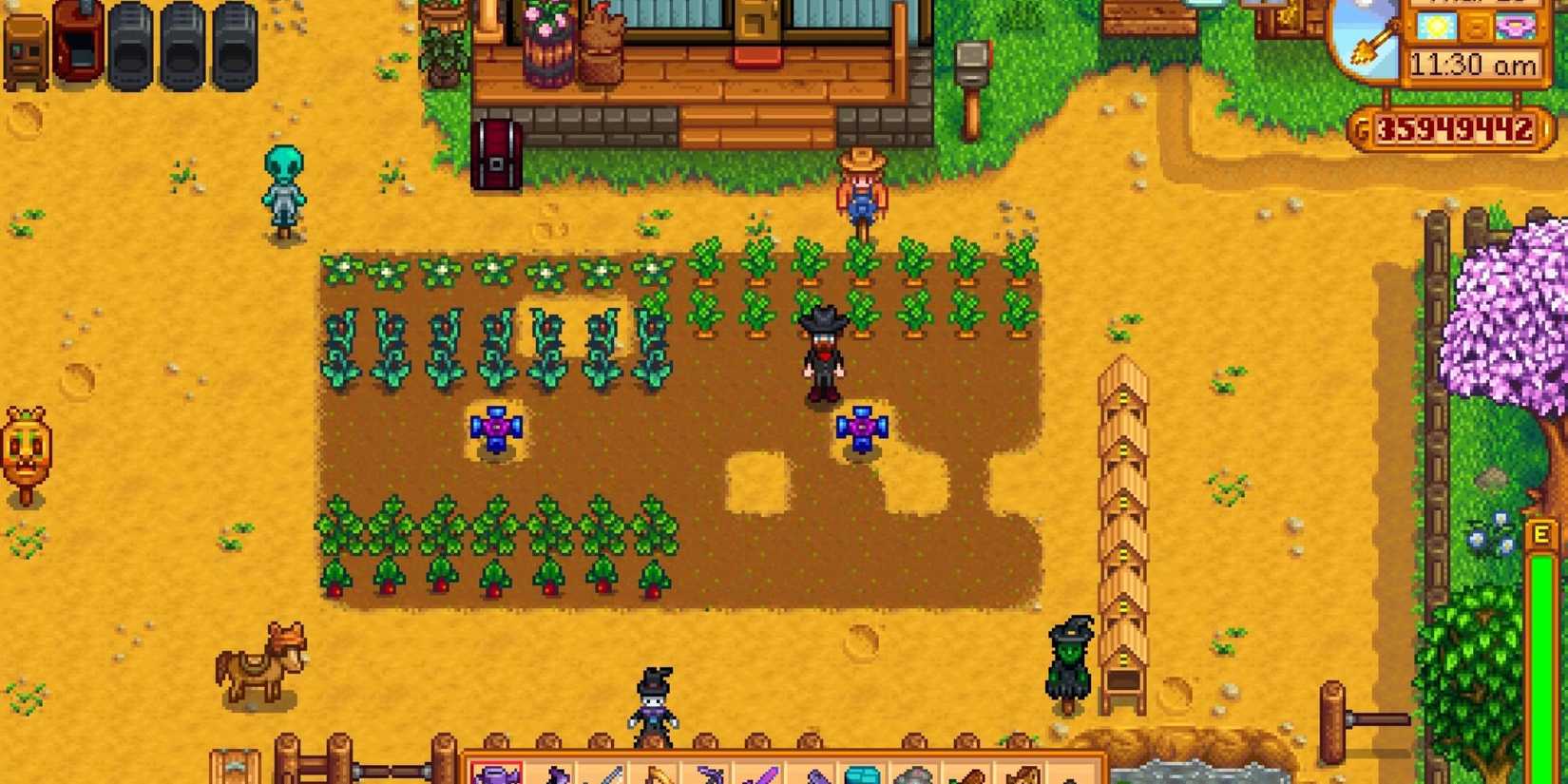 Carrot Stardew Valley