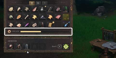 carry weight increase in runescape dragonwilds