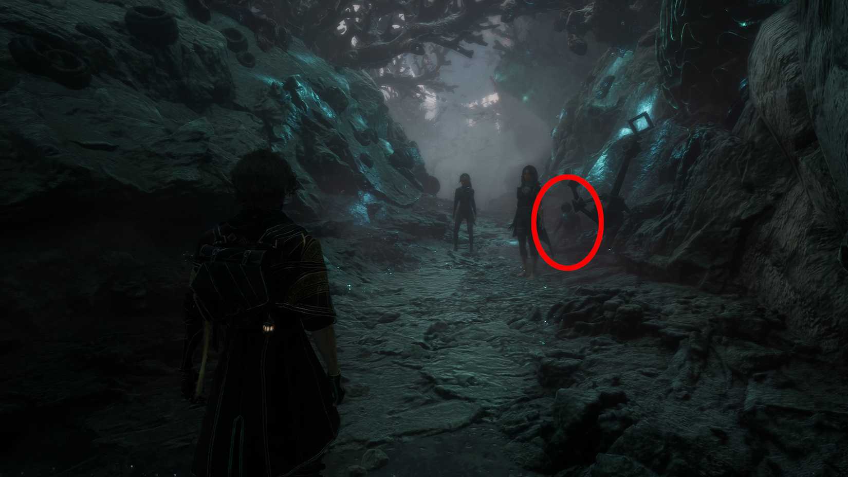 clair obscur expedition 33 flying waters