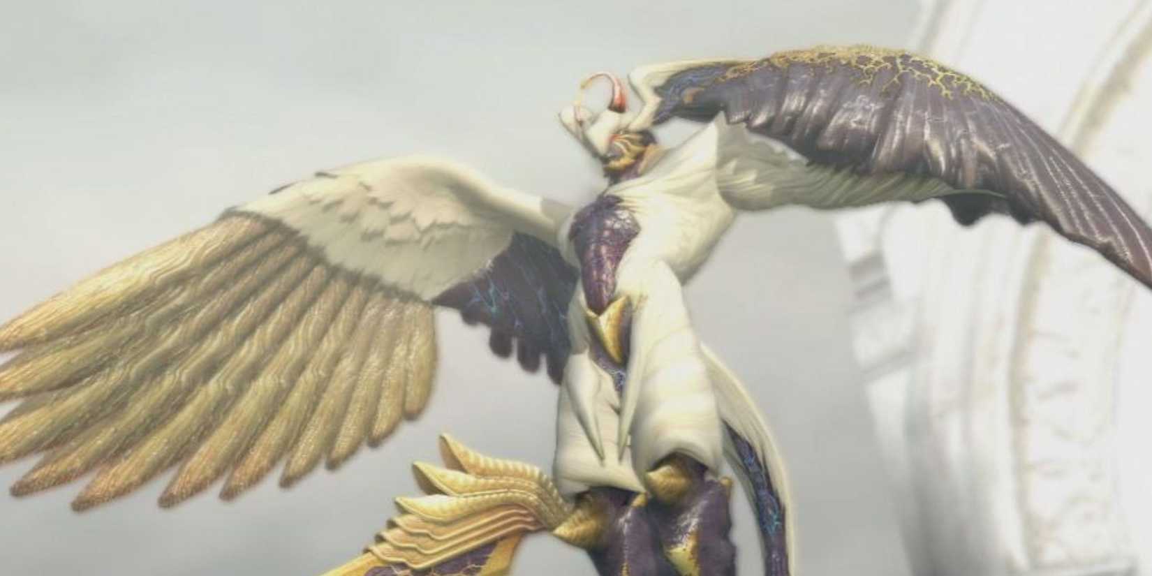 credo entry image 1-1