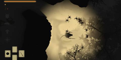 darkmaus fighting spiders