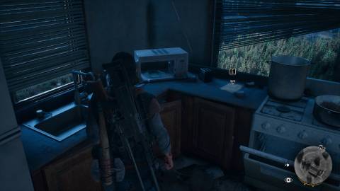 days gone character collectible 7