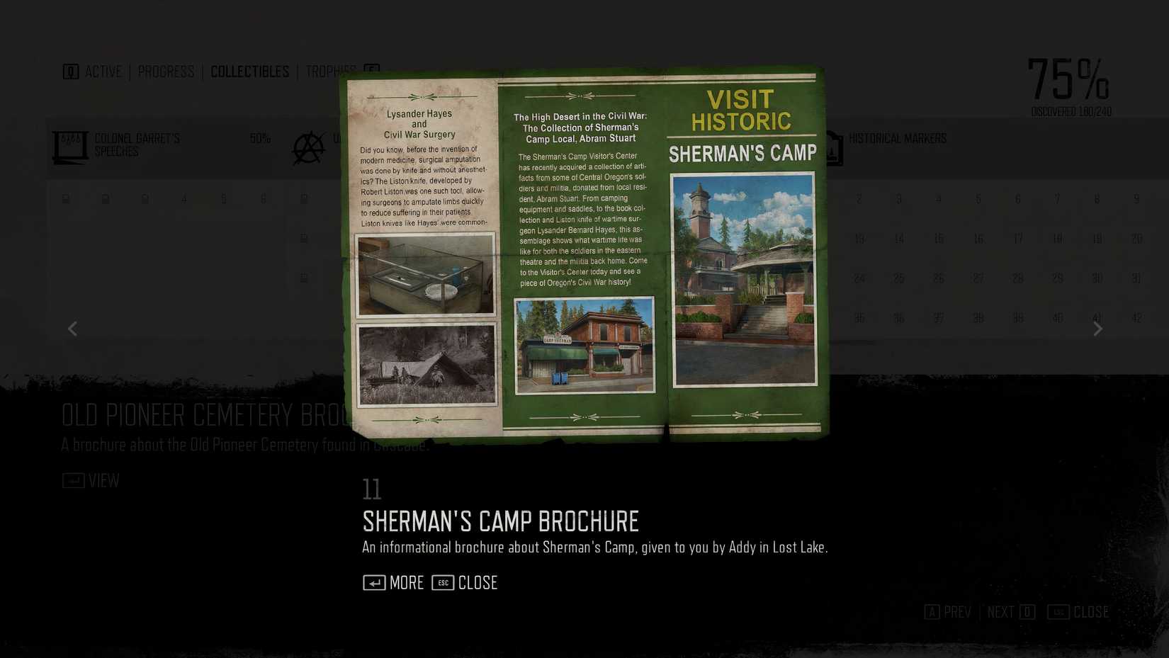 days gone tourism collectible 11