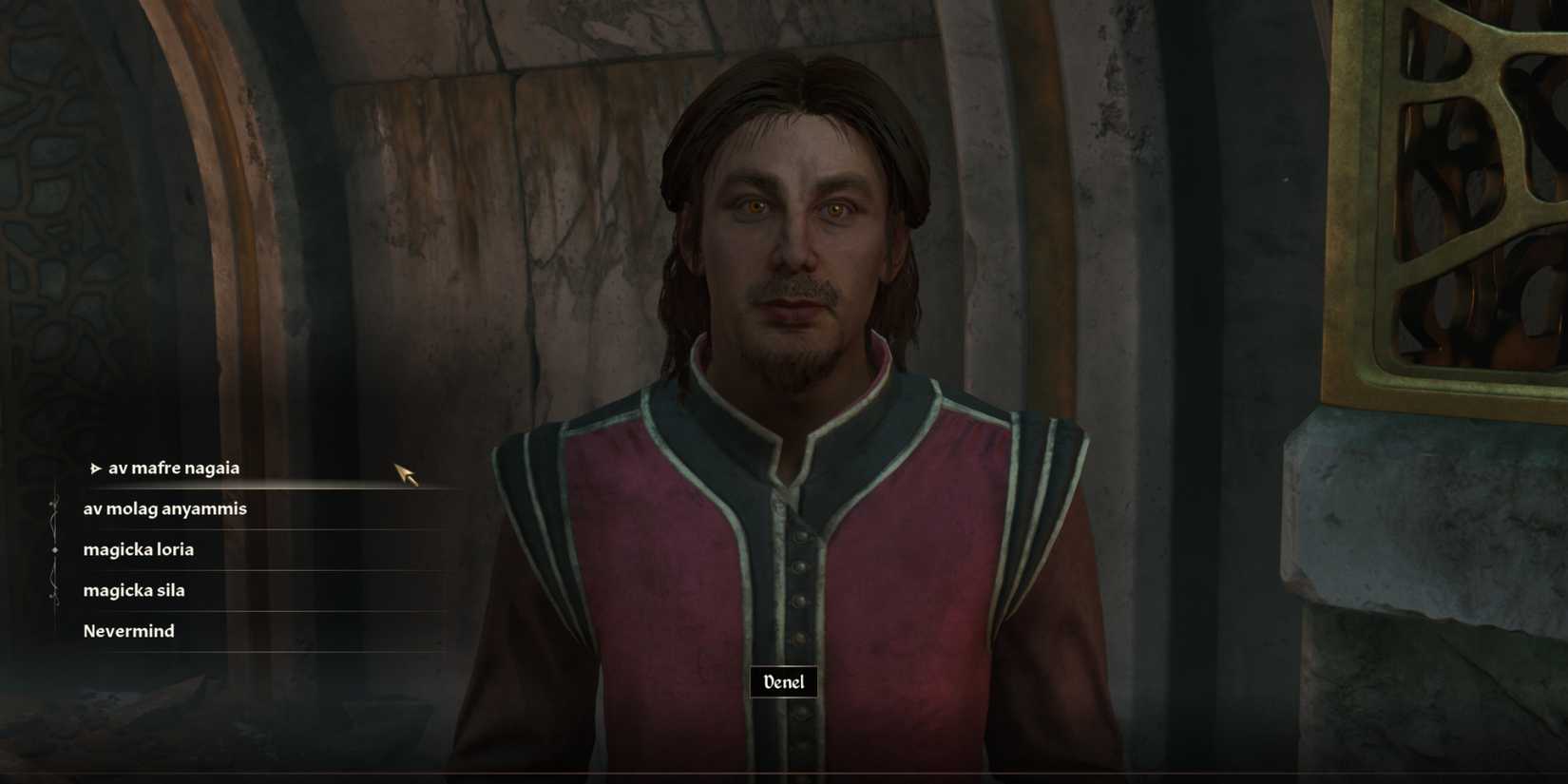 denel in the elder scrolls 4 oblivion remastered