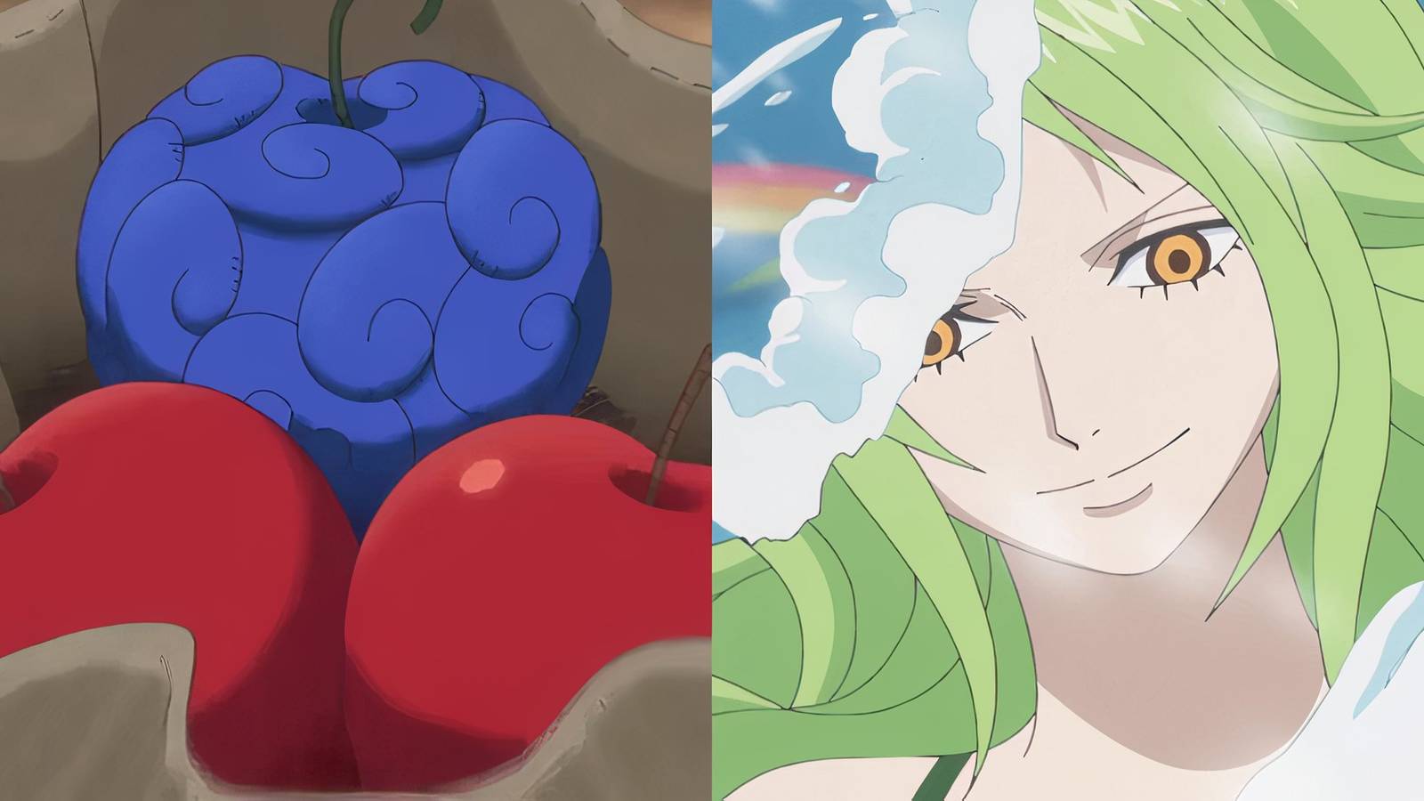 Devil Fruit Circulation