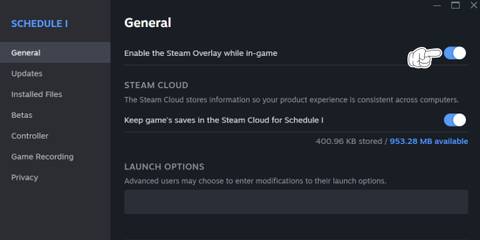 Disabling Steam Overlay Schedule 1