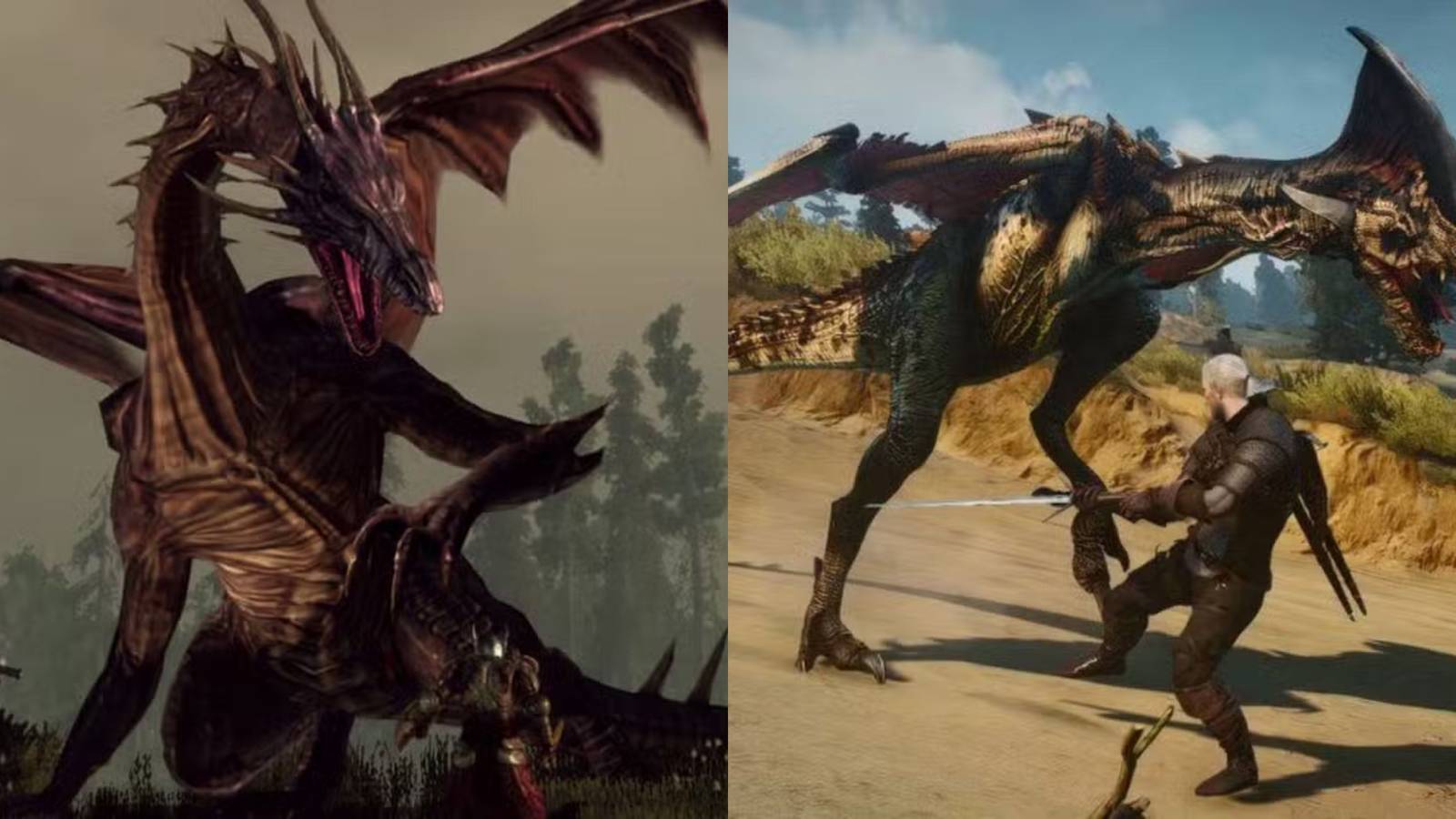 Dragon Age Origins &  The Witcher 3 Wild Hunt