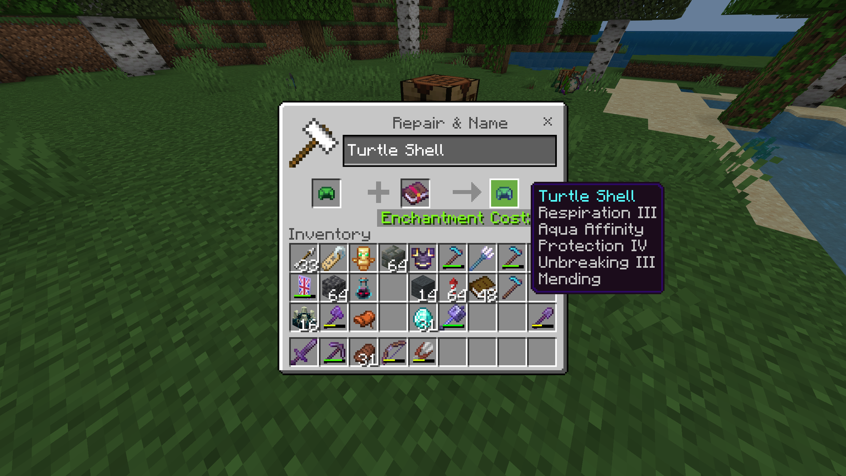 How to Get the Turtle Shell Helmet in Minecraft