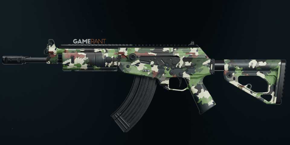 Evergreen CR-56 AMAX in Black Ops 6 & Warzone