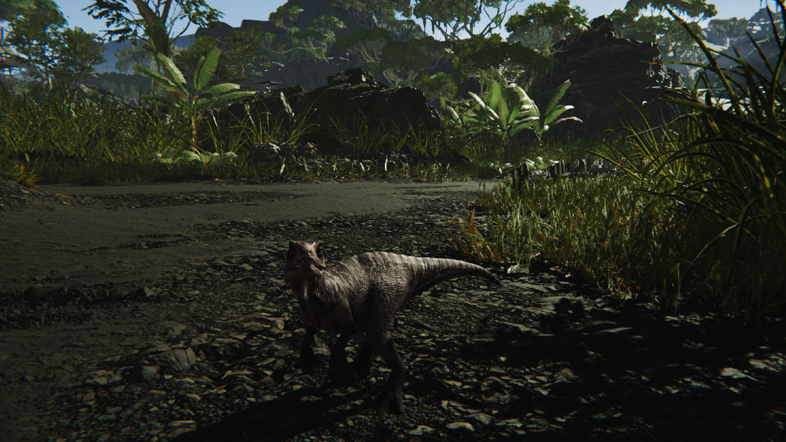 ferocious-baby-tyrannosaurus-rex