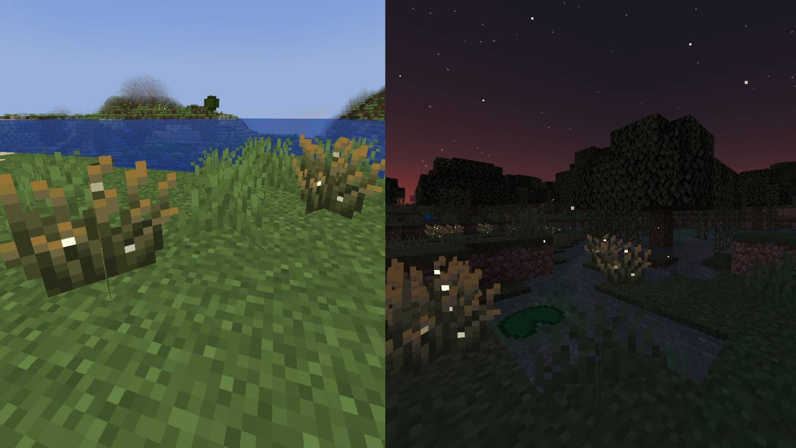 firefly bushes in minecraft