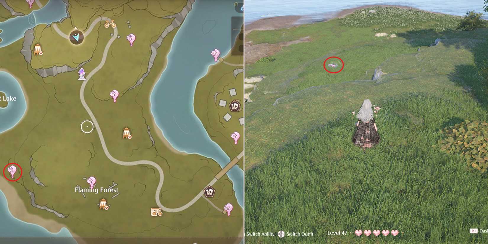 firework isles whim balloon 14 location in infinity nikki