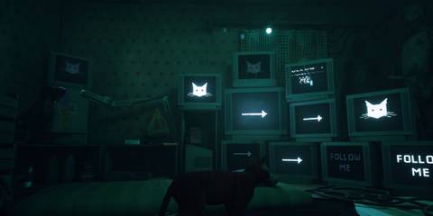 Following computers in Stray