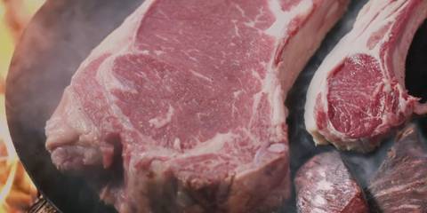 Food in Dragon's Dogma 2