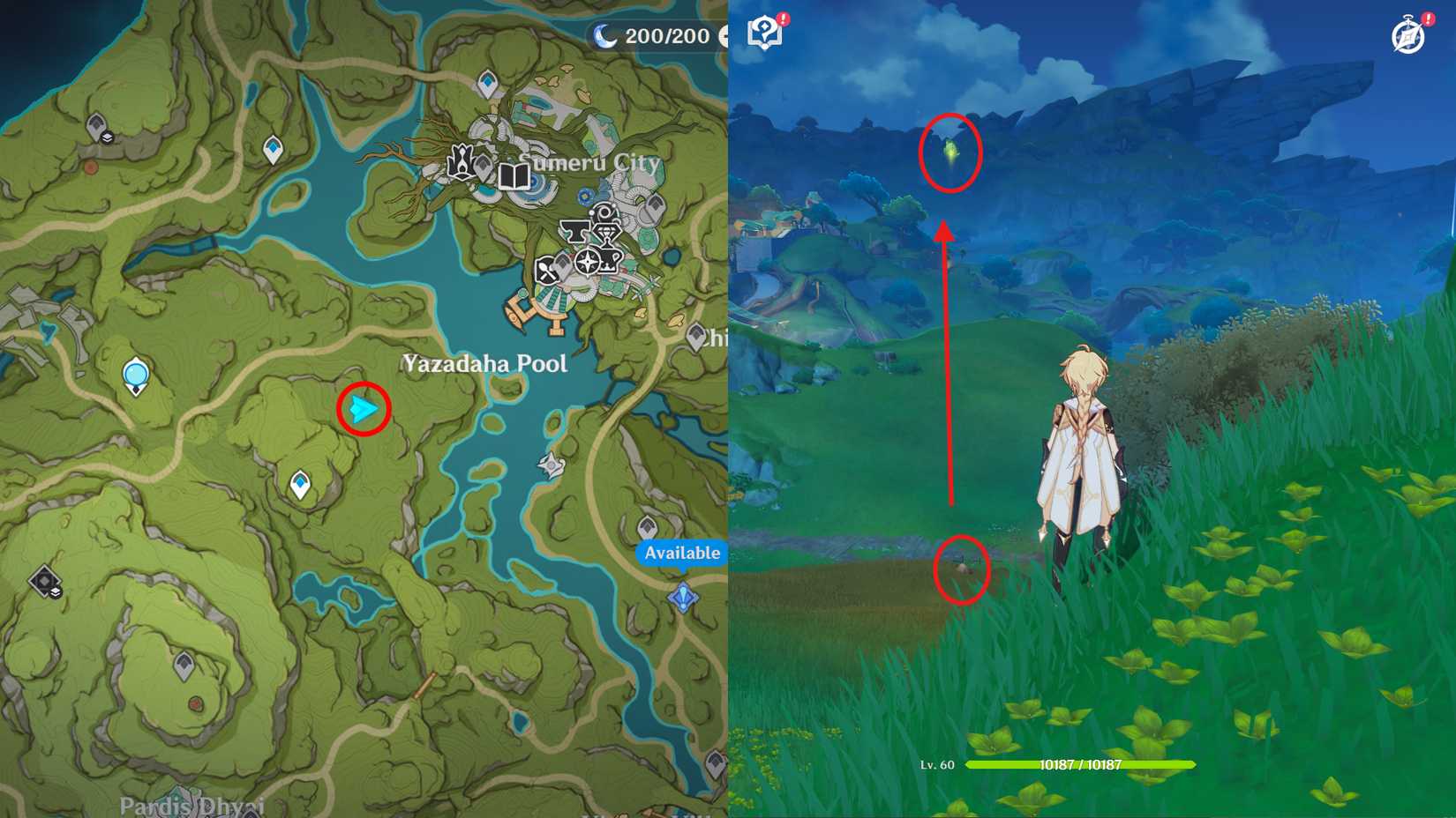 Genshin Impact Vissudha Field Dendroculus Locations 1