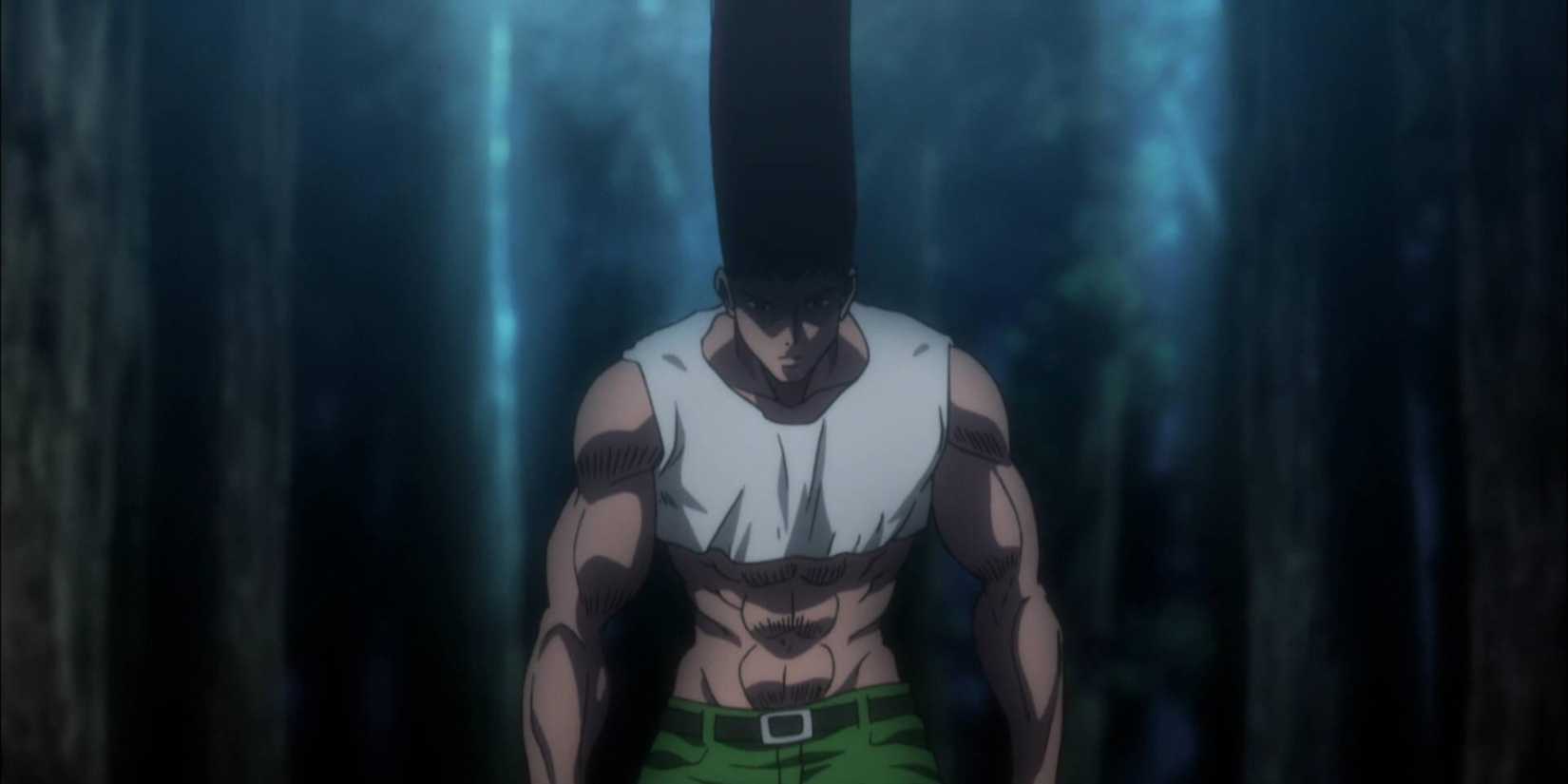 Neferpitou Draw Hunter X Hunter: 7 Nen Gods Who Rival Netero, Officially Ranked