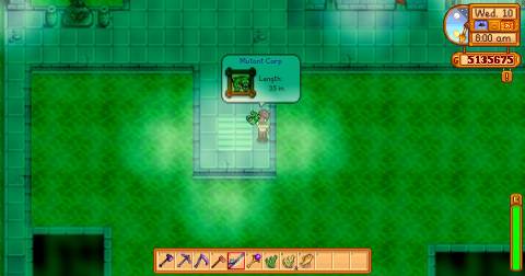 How to Catch Mutant Carp in Stardew Valley