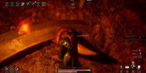 how to Get Dragon Tooth RuneScape Dragonwilds