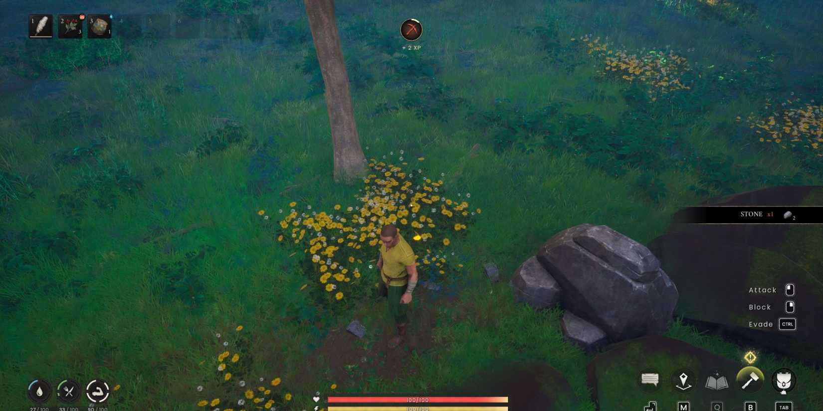 how to get stone runescape dragonwilds