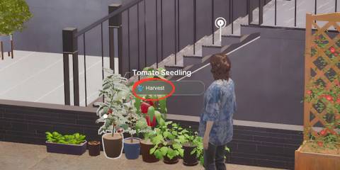 how to grow crops in inzoi 