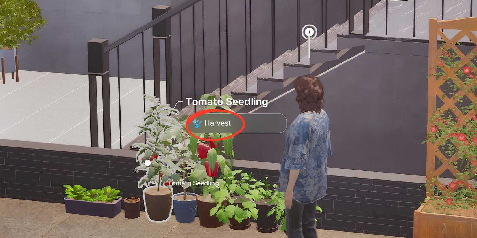 how to grow crops in inzoi 