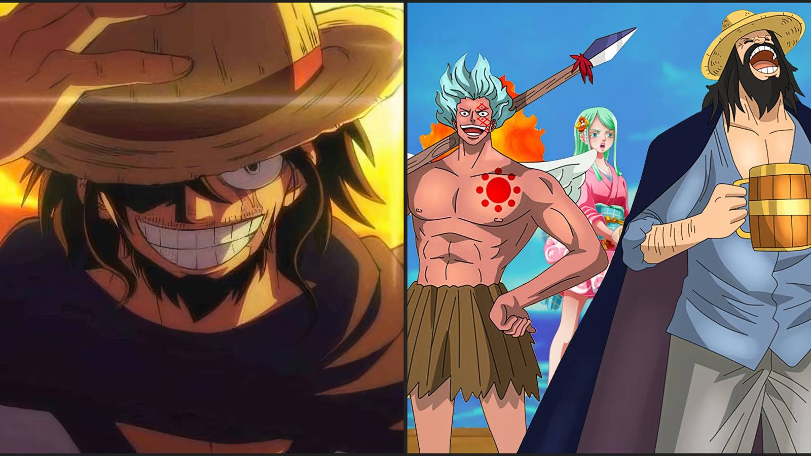 Joy Boy Pirate Crew Dawn Pirates One Piece