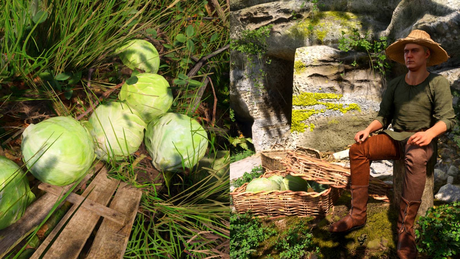 Kingdom Come Deliverance 2: Where To Get Cabbage for the Cabbage Thief