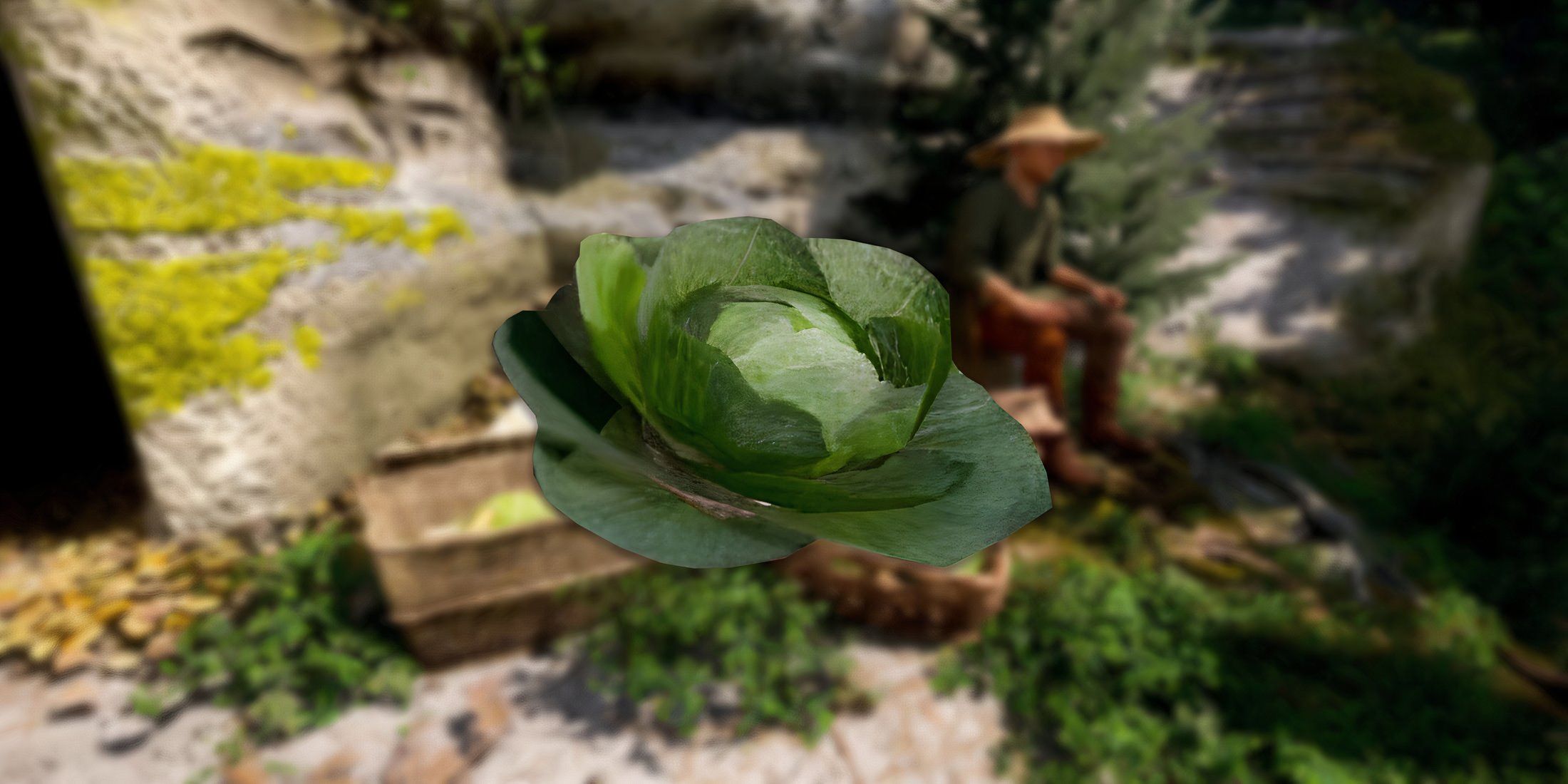 kingdom-come-deliverance-2-kcd2-where-get-cabbage-for-cabbage-thief